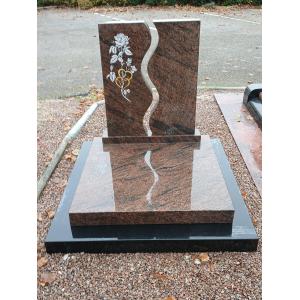 CIN T31 en MULMTICOLOR