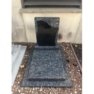 SC120 EN LABRADOR BLEU HQ